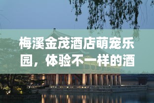 京东白条任何提现 京东白条任意提现，轻松解决资金周转难题！