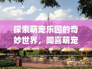 遵义花呗提现 遵义花呗提现攻略，轻松变现，告别月光族