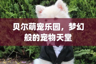 园区萌宠乐园策划方案模板