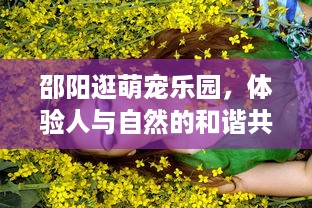 自己怎么用花呗提现吗 花呗提现攻略，轻松变现，告别资金周转难题！