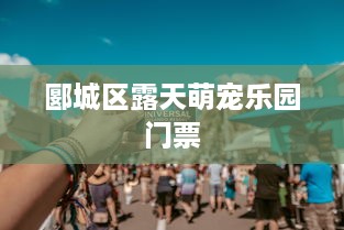 微信拉黑名单能查聊天记录？真相揭秘+实用指南