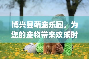身份证查询宾馆入住记录 揭秘身份证查询宾馆入住记录，如何轻松掌握你的住宿足迹