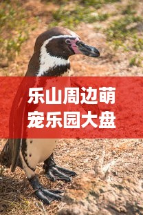 萌宠乐园今年开园时间揭秘