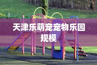 抖音月付余额提现到 抖音月付余额轻松提现，让你的零花钱立刻到账！