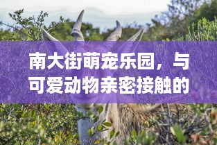 抖音月付在那套出来靠谱 抖音月付套餐横空出世，靠谱吗？一文揭秘！