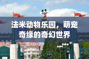 身份证查开房网址 揭秘身份证查开房网址，如何轻松查询酒店入住记录？