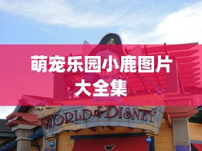 淄博抖音月付取现全攻略，手把手教你玩转新功能