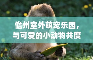 闽侯萌宠乐园门票体验