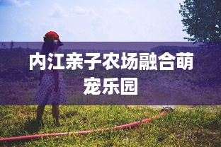 最新查开房记录 揭秘最新查开房记录，隐私保护与信息透明的边界探讨