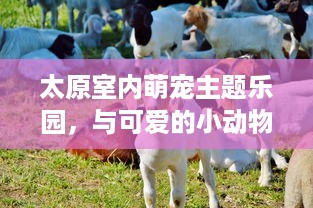 揭秘聊天记录查看技巧，但请谨慎使用