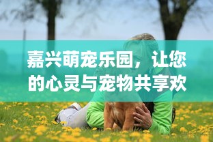潍坊小李萌宠乐园地址及案例分析