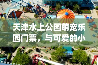 潍坊小李萌宠乐园地址及案例分析