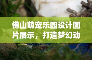 微信分付提现审批要多久 微信分付提现审批那些事儿，揭秘审批时间，让你心中有数！