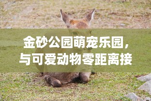 鸿通城萌宠乐园下班时间揭秘