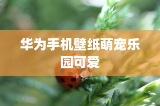 鸿通城萌宠乐园下班时间揭秘