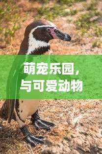 得物佳物分期额度兑现与未还款额度更新全解析
