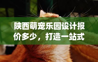 微信分付提现哪家靠谱?微信分付提现哪家靠谱？揭秘各大平台提现攻略及案例分享