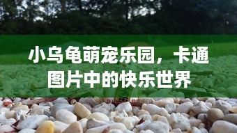 京东白条是怎么取现 京东白条取现攻略，轻松操作，资金灵活周转