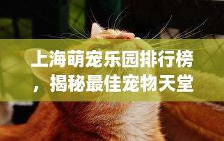 京东白条扫码套出来 揭秘京东白条扫码套现，小心陷阱与风险！