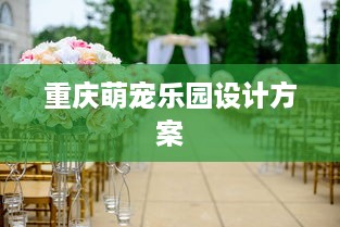 自己怎么用京东白条提现 轻松搞懂！京东白条提现全攻略，让你钱袋子鼓起来