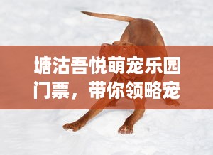 免费查开房记录 揭秘你的隐私—免费查开房记录，你敢尝试吗？