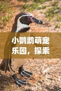 免费查开房记录 揭秘你的隐私—免费查开房记录，你敢尝试吗？