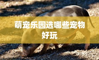 微信分付提现会不会找家长 微信分付提现，家长会知道吗？揭秘提现背后的隐私问题