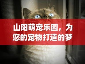 酒店烤鸭订单怎么查记录，详细步骤与案例解析