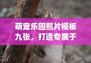 得物佳物分期额度提现商家指南，如何获取最高额度？