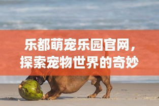杭州亲子萌宠乐园推荐与口碑分析