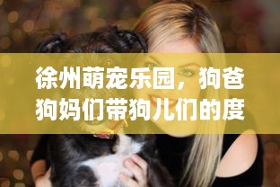 酒店入住开户记录查询 酒店入住开户记录查询攻略，轻松掌握您的入住信息