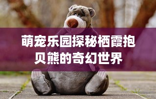 自己有花呗提现额度 揭秘花呗提现额度，你的小金库如何变大？