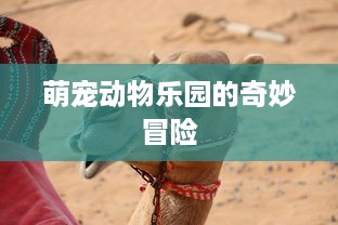 黄冈贝塔萌宠乐园位置揭秘