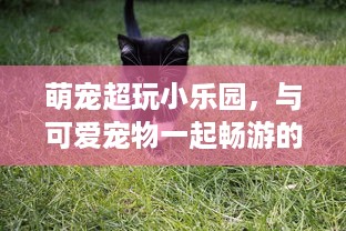 绵阳白条套现的实用攻略