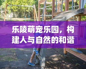 萌宠乐园运营加盟费概览