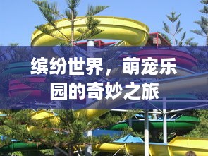 胖嘟嘟的萌宠乐园在线观看指南
