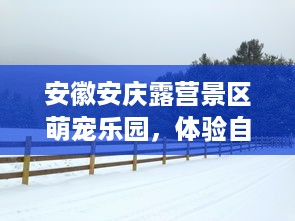 宜昌萌宠乐园门票优惠政策全览
