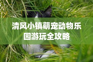 抖音月付用啥套出来最好使用 抖音月付套利攻略，揭秘最佳套用方法，轻松省下大笔开销！