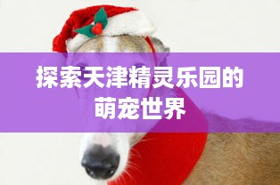 快手萌宠乐园游戏攻略大全