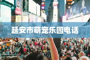 抖音月付余额十元怎么提现到银行卡 抖音月付余额十元也能提现！教你轻松把小钱变成银行卡里的真金白银