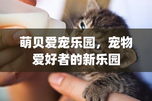 遵义白条取现 遵义白条取现，轻松解决资金周转难题！