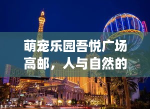 怎么查宾馆入住记录 轻松掌握宾馆入住记录查询技巧，出行无忧！
