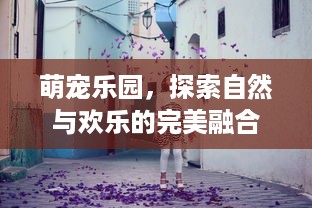 怎麼能查到別人手機微信的聊天记录 揭秘微信聊天记录的秘密，如何合法查到别人手机上的微信聊天记录