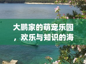 长安萌宠乐园探秘，萌宠乐园位置揭秘