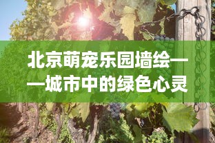 京东白条扫码付款取现 京东白条扫码付款取现，轻松购物，便捷生活！