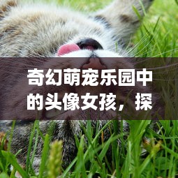 花呗额度提现后，为何我的花呗额度变低了？
