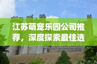 揭秘抖音月付提现平台代理，从0到月入过万的正规操作指南