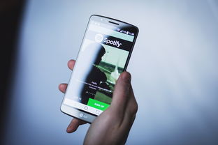 京东白条取现越来越少 京东白条取现功能缩水，额度越来越少，消费者咋办？