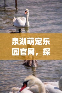 自己的羊小咩便荔卡自己如何提现 羊小咩便荔卡提现攻略，轻松搞定你的资金流转