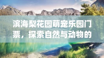 福宝萌宠乐园抖音之旅—与萌宠共度的欢乐时光